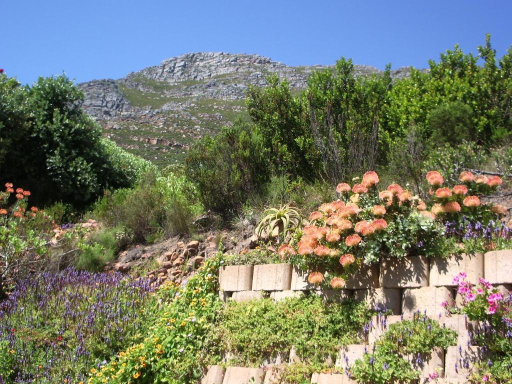 Port Of Call Simonʼs Town Εξωτερικό φωτογραφία